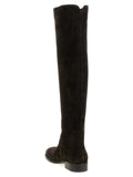 Gianvito Rossi Brown Suede Leather Over The Knee